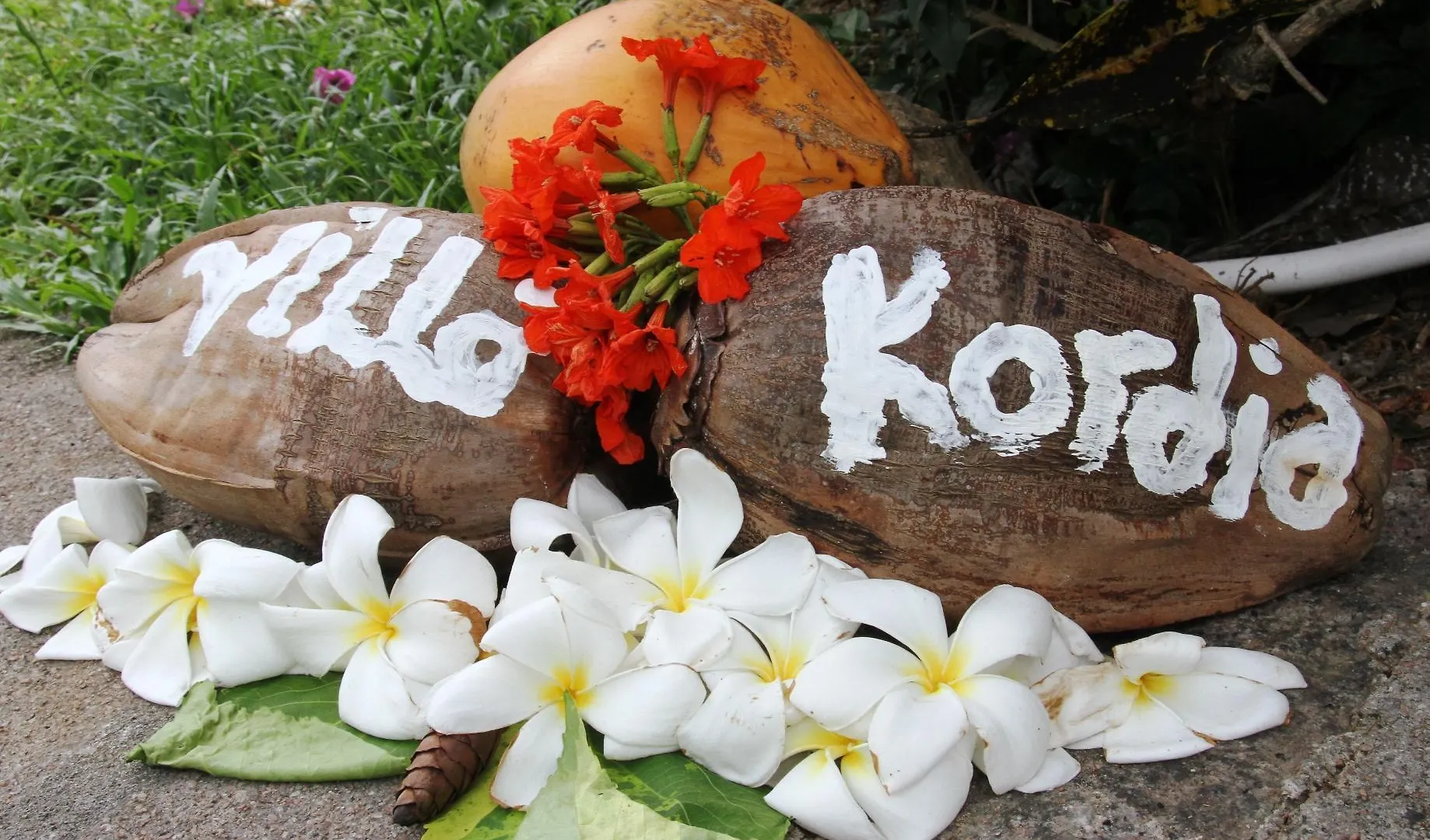 Villa Kordia Pointe Au Sel
